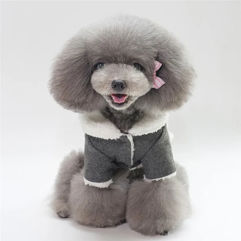 dog coats for small dogs