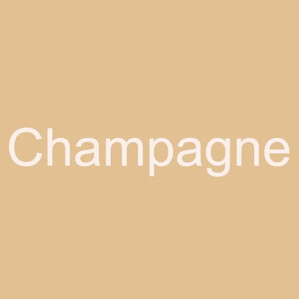 CHS493/изготовленные на заказ женские босоножки ручной работы на низком каблуке с большим бантом и атласным шелком лаванды свадебные туфли Свадебная обувь - Цвет: Champagne