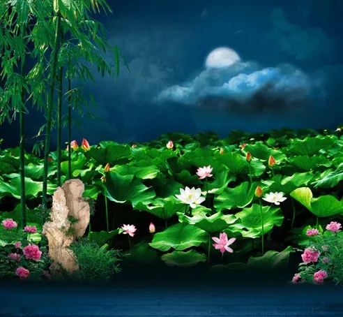 5X7ft Lake Moonlight Lotus Vinyl Background Photography
