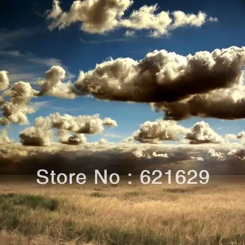 Fantasy clouds 8 x8 CP Computer painted Scenic Photography Background font b Photo b font Studio