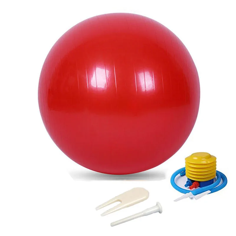 Fitness Yoga Balls 55cm 65cm Body Building Balance Sports Entertainment Exercise Ball Bola Pilates Workout Massage Gym Office Home (1)