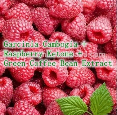 ФОТО Natural Weight Loss Ingredients Garcinia Cambogia +Raspberry Ketone + Green Coffee Bean Extract 500mg x 300caps free shipping