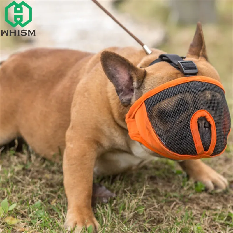masque protection chien masque protection chien