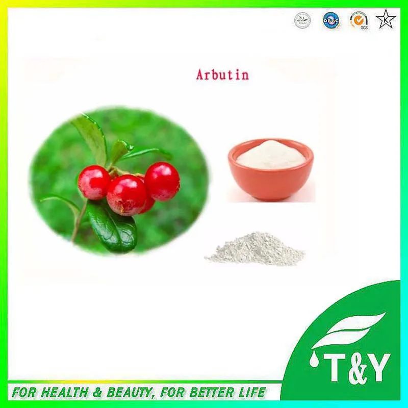 

100% Best quality& Alpha Arbutin/ Bearberry  with free shipping, 99% for skin care