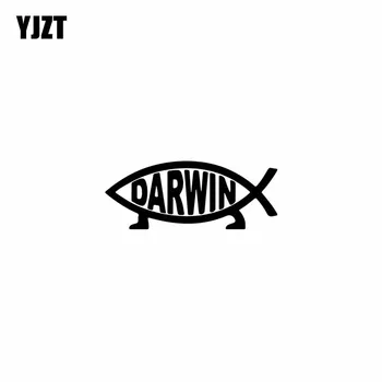 

YJZT 12.7CM*5CM DARWIN Small Fish Vinyl Car Motorcycle Sticker Decals Black/Silver C13-000113