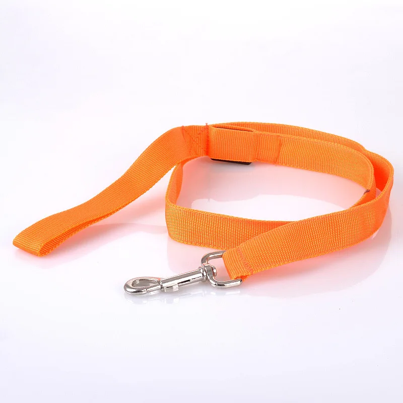 G10_120cm_Nylon_Pet_LED_Dog_Leash_Night_Safety_LED_Flashing_Glow_LED_Pet_Cat_Dogs_Drawing_Small_Leads_for_LED_Dog_Collar_ (13)