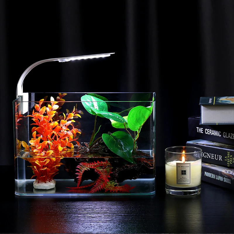 Aquarium Lighting