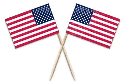 

50Pcs Mini America Toothpick Flags Paper Food Picks USA Cake Toppers Fruit Cocktail Sticks DecorationToothpick