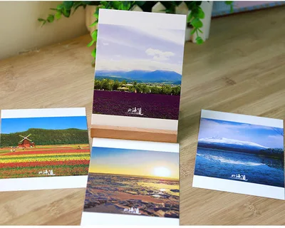 30 листов/партия отправляется в Hokkaido открытка/поздравительная открытка/модный подарок