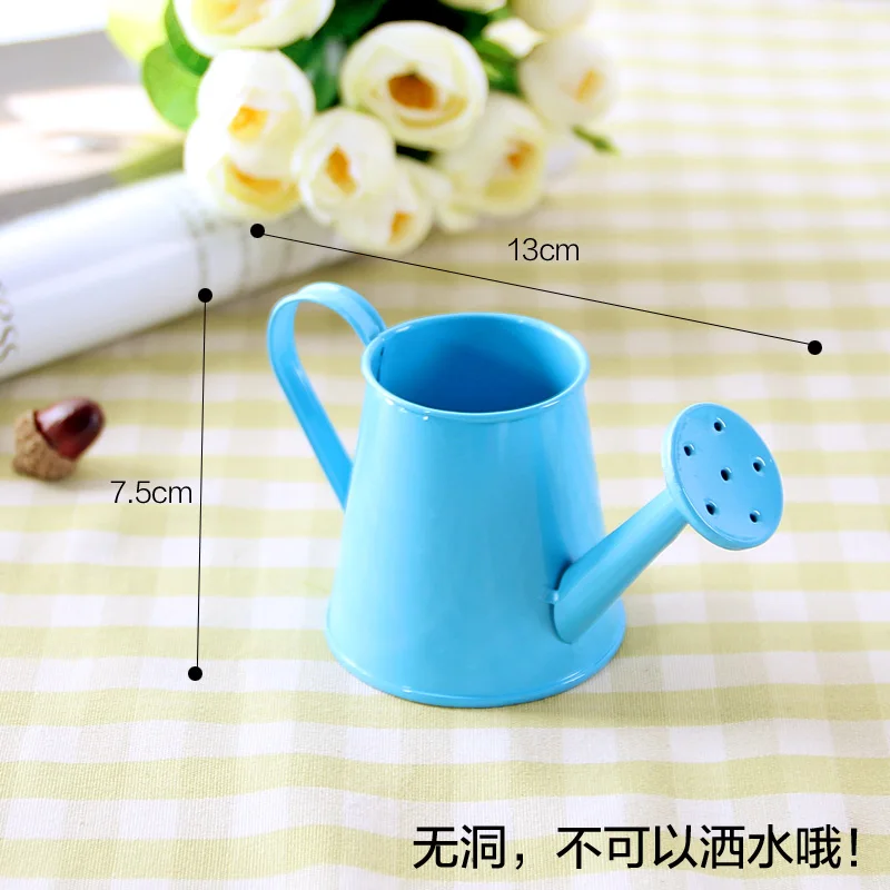 Hot! Mini Small Watering Can Shower Gardening Decoration Desktop
