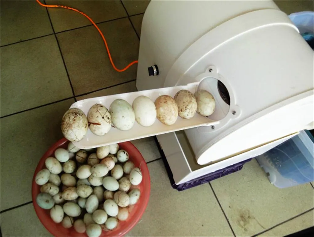 egg washer05