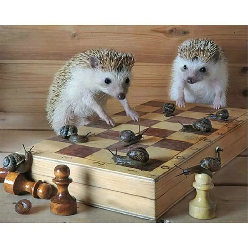 

DIY Diamond Embroidery Cute hedgehog pattern Diamond Painting Cross Stitch kits Diamond Mosaic animal picture Home Decoration
