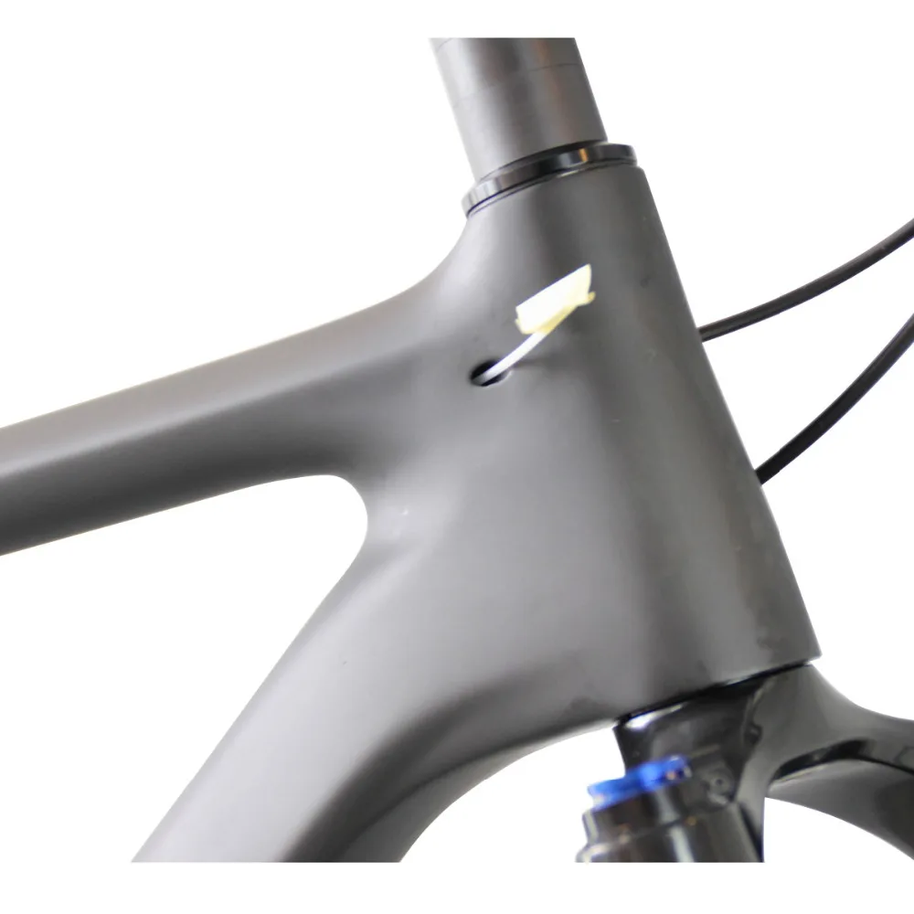 2020 ICAN carbon 4.8 inch max fat tire front/single suspension 10 speed snow bicycle Complete Fatty Bike