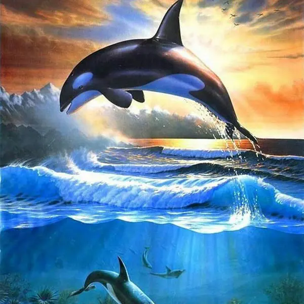 HTB1_qC3RXXXXXXEXXXXq6xXFXXXn