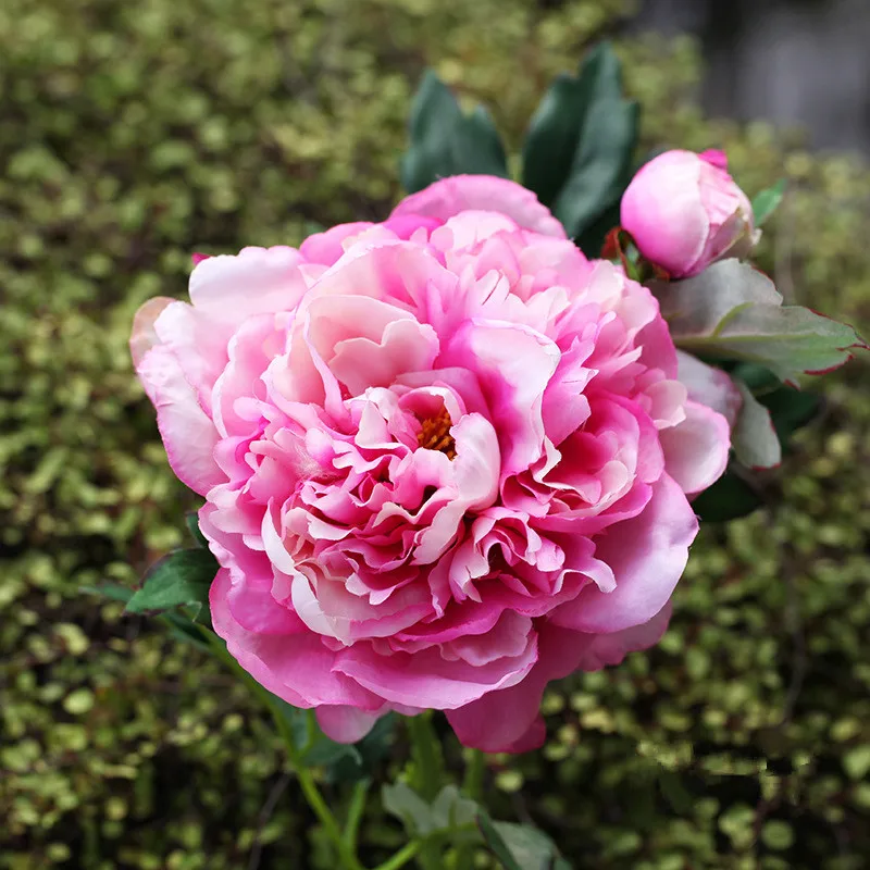 Один Филиал искусственный цветок 60 см шелк пион Высокое качество красивое украшение дома искусственный цветок для свадьбы невесты держа цветок - Цвет: Deep pink