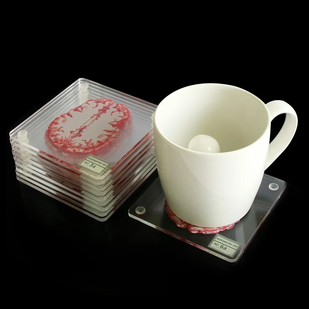 

10Pieces/Set 3D Organ Brain Specimen Coasters Set Drinks Table Coaster Brain Slices Square Acrylic Glass Drunk Scientists Gift