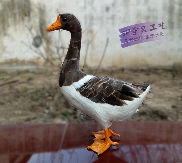 big-creative-simulation-goose-model-new-gray-goose-toy-gift-about-38x25x14cm-1537