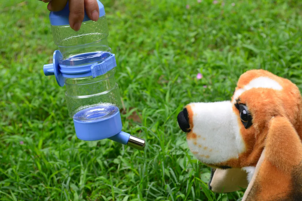 hamster water bottle for dogs