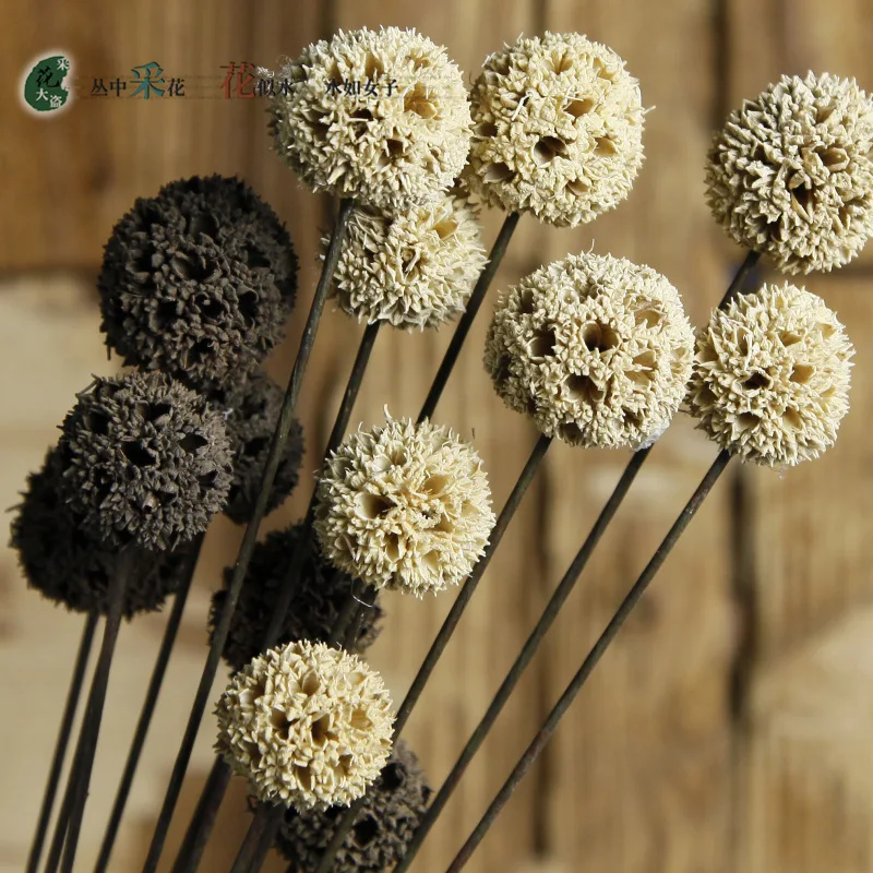 Popular Artificial Dried FlowersBuy Cheap Artificial Dried Flowers