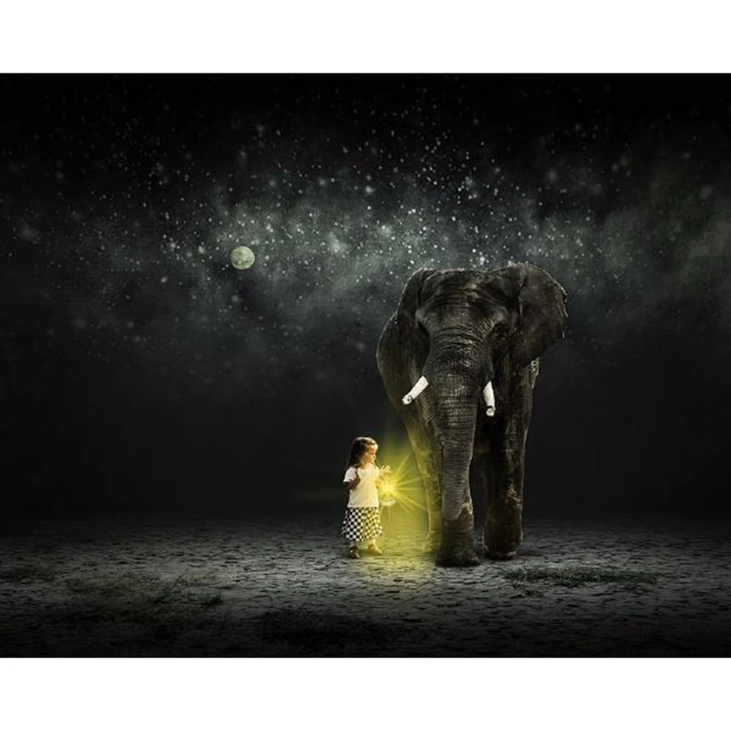 Full Square Diamond 5D DIY Diamond Embroidered Elephant and Girl Diamond Cross Stitch Embroidery Rhinestone Mosaic Decoration Gift