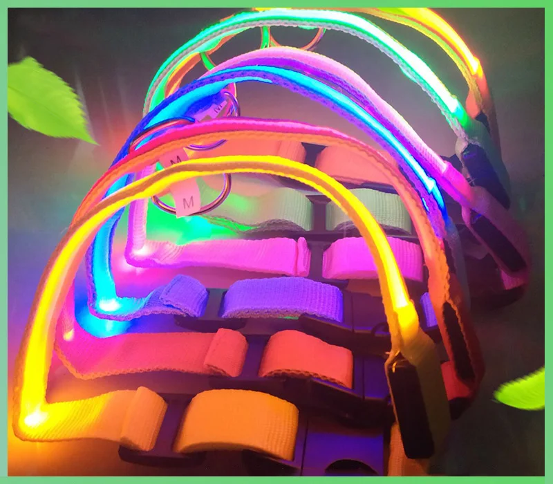 

2019 pet supplies, traction belt new LED light dog collar