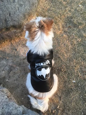 Маленький средний собака Кошки Одежда для домашних животных Бэтмен узор куртка пальто для собак чихуахуа кошки щенок жилет одежда костюм товары для домашних животных