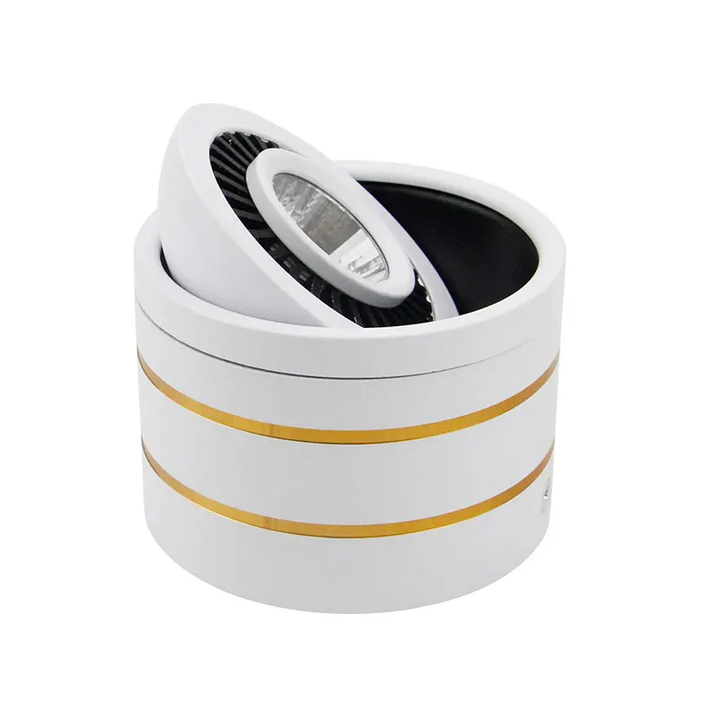 LED surface mounted downlight  (3)