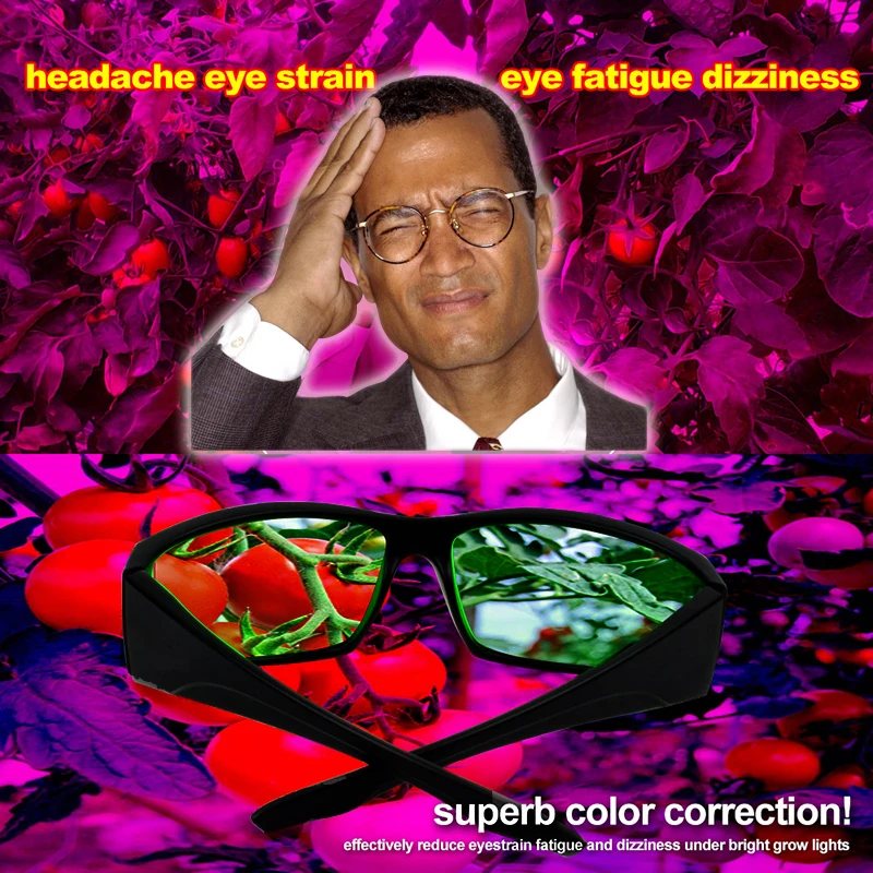 HTB1K.kvSFXXXXXmXVXXq6xXFXXXj (1)
