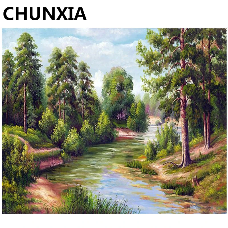 

CHUNXIA Painting By Numbers DIY Framed Oil Paint Pictures Wall Art Home Decor Unique Gift 1002
