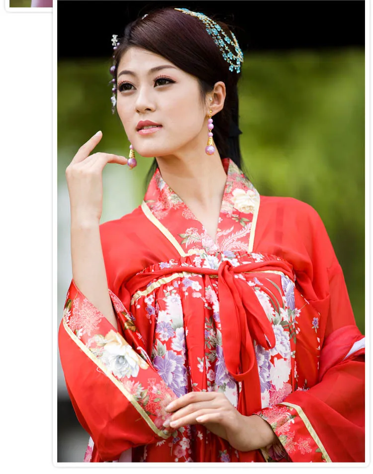 New Chinese Ancient Clothing Hanfu Skirt Hanfu Women's Skirt Costume Hanfu Double-breasted Dress