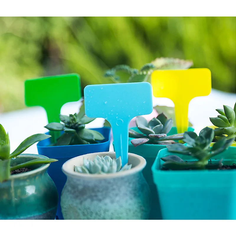 50/100 pcs Plant Tags Garden Nursery Label hanging tree Markers seedling plant fruit trees signs prompt card classification tool