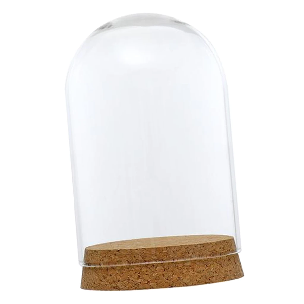 Clear Glass Dome Cover Cloche Bell Jar Succulent Terrariums with Wood Cork for Office Table Decor DIY Supplies - 8x12/ 6.5x10cm 