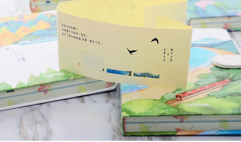 5_conew1