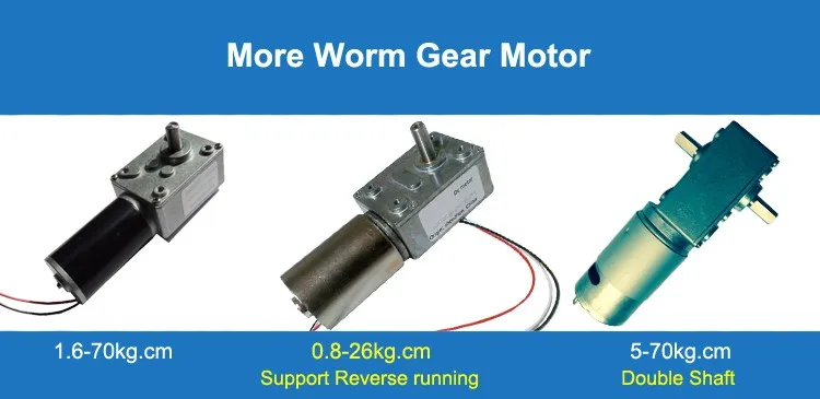 Worm-gear-motor