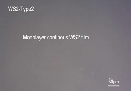 WS2-type2_