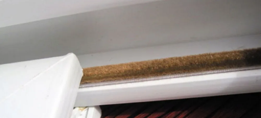 High Quality Renovação da Casa