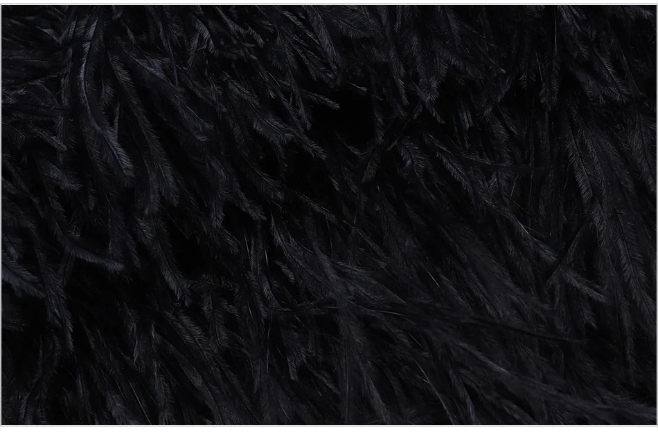 DRS0674-detail2