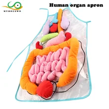 MYHOESWD школьное образование игрушка Анатомия органов Детский обучающий фартук человеческое тело структура модель игрушки Детское обучающее оборудование