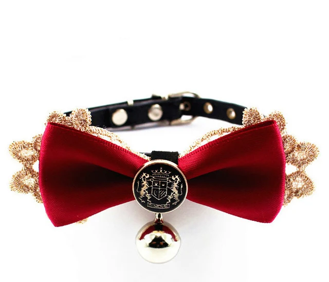 kitten collar with bell