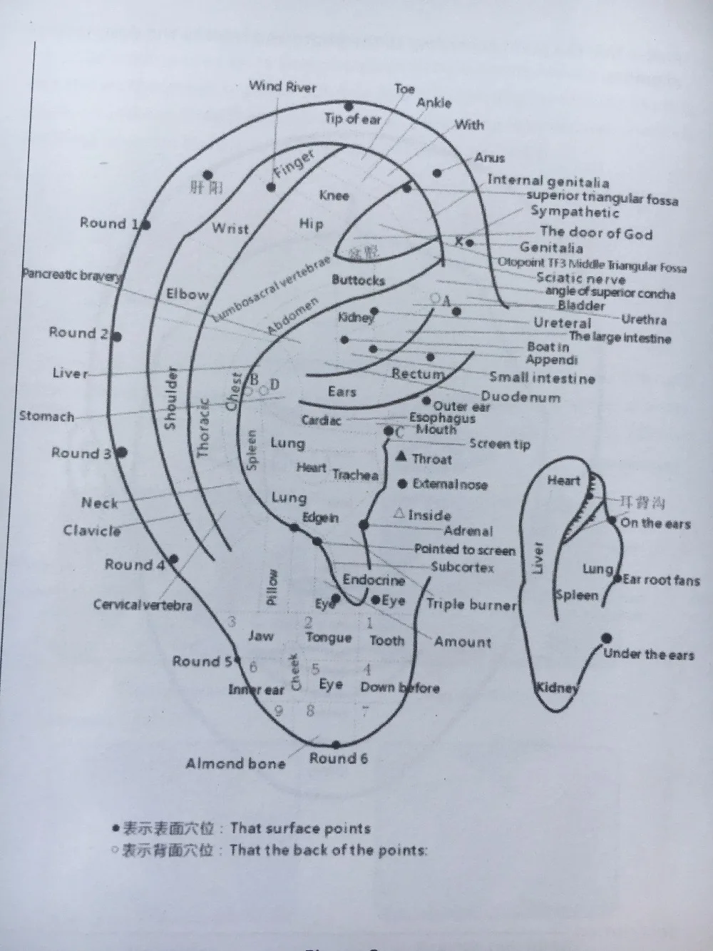 aeProduct.getSubject()