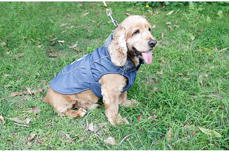 Теплая зимняя одежда для собак, высокое качество, водонепроницаемая нейлоновая куртка с мягкими воротниками, светоотражающая и собачья лапа, дизайн для собак
