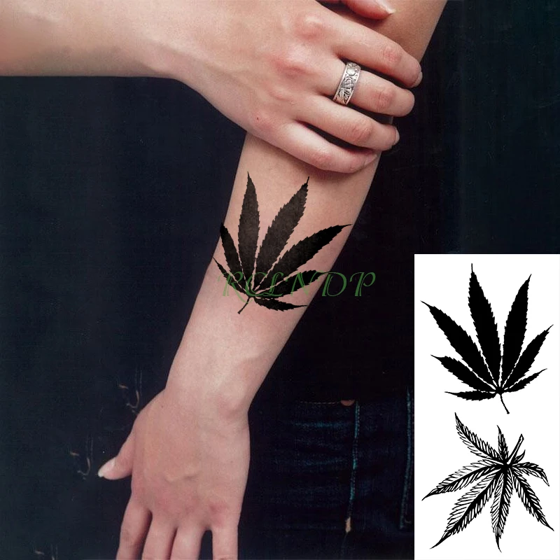 tsbyyP001