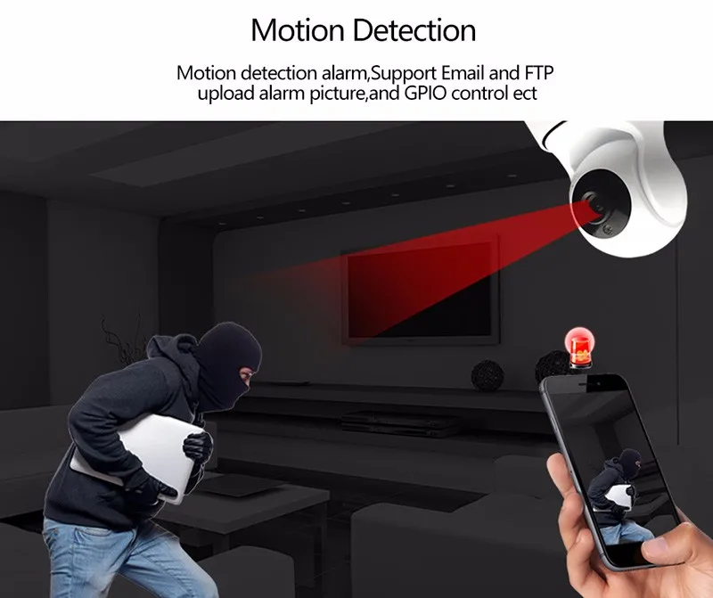 3362452370_2070713758