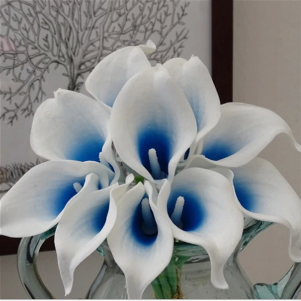 Popular Blue Calla LiliesBuy Cheap Blue Calla Lilies lots from China Blue Calla Lilies
