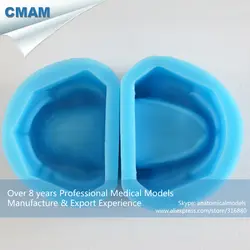 12598 cmam-dental17-1 беззубой челюсти пластырь модель резиновая, Медицинские товары учебных анатомические модели