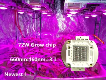 

Newest !! 72W DIY grow kit red and blue grow led chip plant grow wavelength 660nm 460nm led grow chip, free shpping