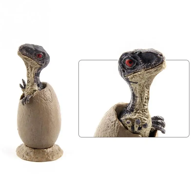 

3pcs/Sets Dinosaur Handmade Model Half Hatched Dinosaur Egg Model with Pedestal
