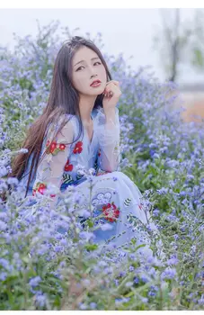 

light blue flower embroidery vintage long dress medieval dress Renaissance lace Gown princess costume Victorian/Marie Antoinette