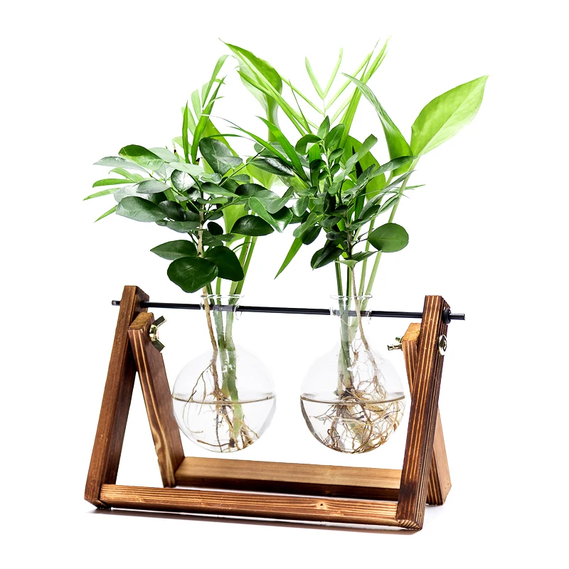 

Desktop Glass Planter Bulb Vase with Vintage Solid Wooden Stand for Hydroponics Tabletop Air Plants Home Office Decoration