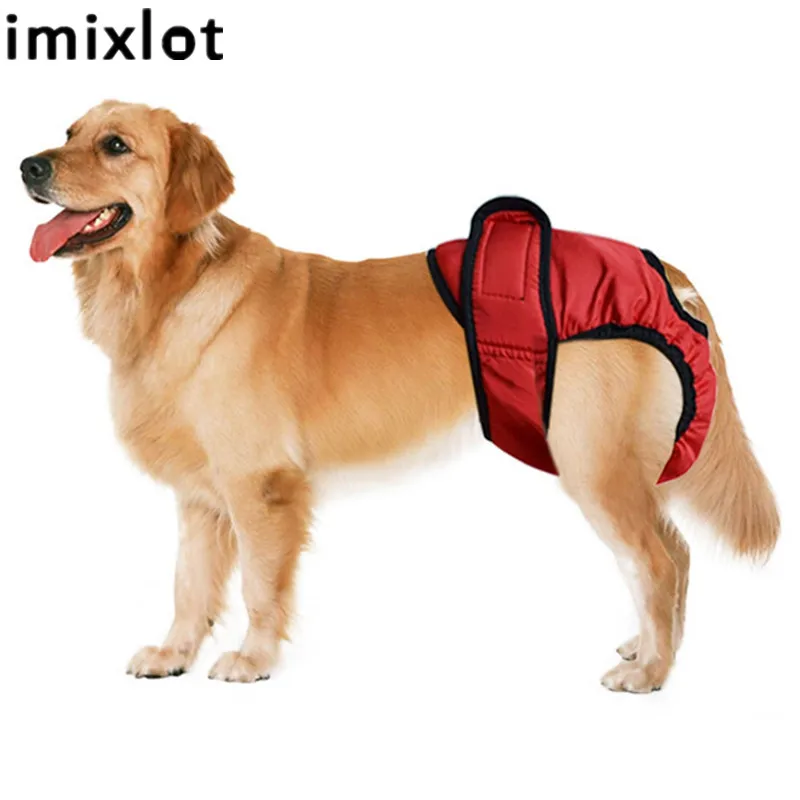 

Imixlot Shorts Physiological Pants Diaper Sanitary Washable Pet Menstruation Panties for Small Girl Dogs Jumpsuit